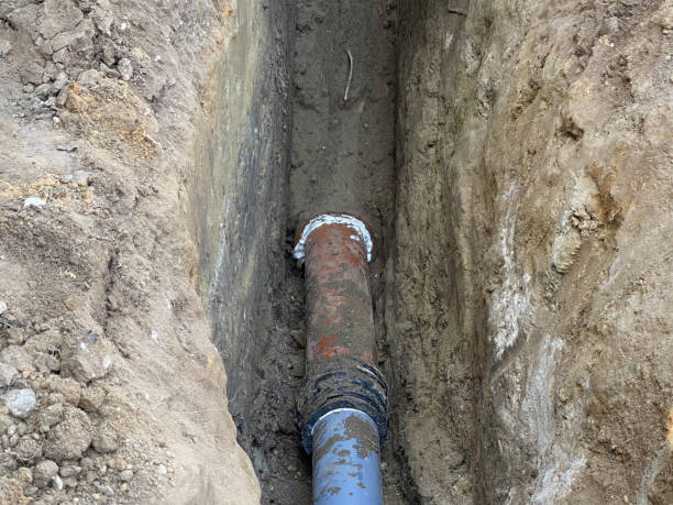 Best Local water damage restoration  in Maple Bluff, WI