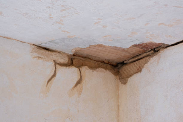 Best Ceiling water damage repair  in Maple Bluff, WI