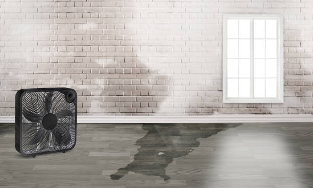 Best Fire Damage Restoration  in Maple Bluff, WI