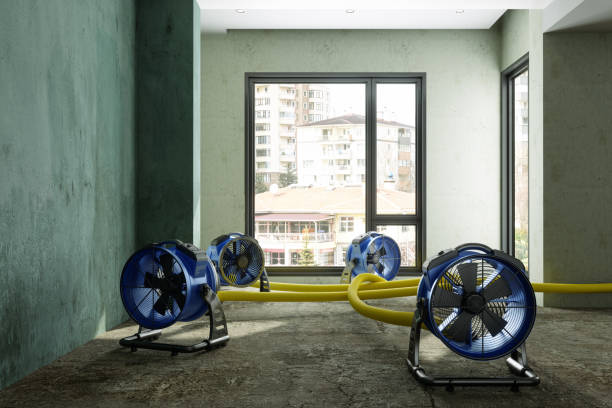 Best Professional water damage repair  in Maple Bluff, WI